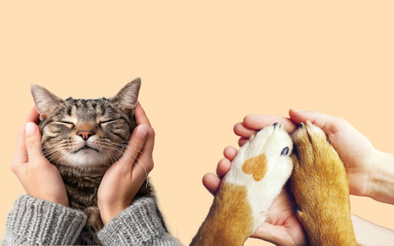 Cani e gatti per una mente e un cuore sano